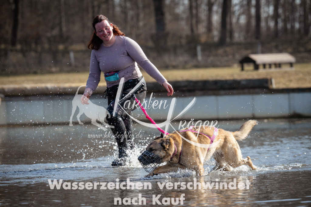 1155_ZZ97350 | kk-dogfotos