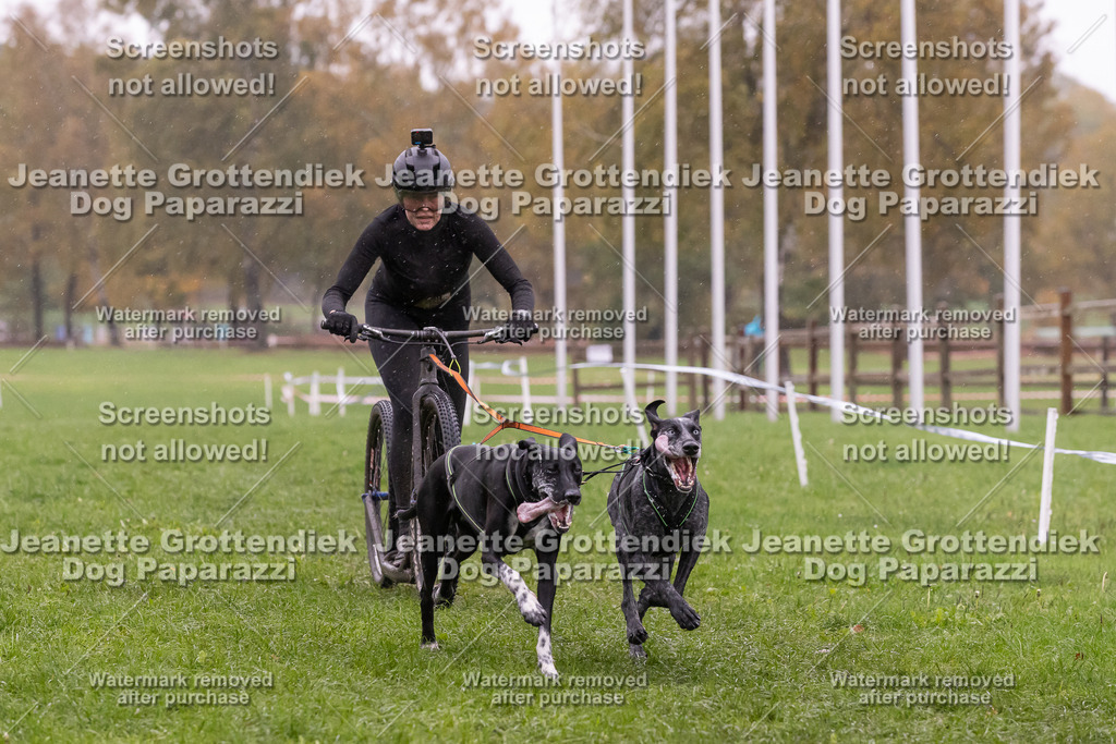 Dog Paparazzi - SD CaniX Championship 2025-878 | Dog Paparazzi Jeanette Grottendiek Fotografie & Videografie - Realisiert mit Pictrs.com