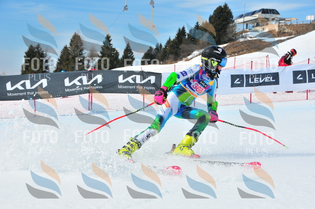 DSC_7115 | holidayphoto