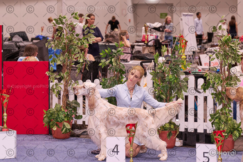 202406_ÖKV-IHA-Tulln24_NZ9_9550 | proPHOTO - Realisiert mit Pictrs.com