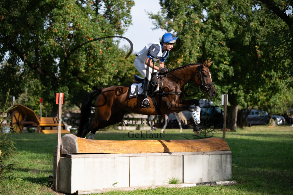 A7V03237 | Pferdefotograf