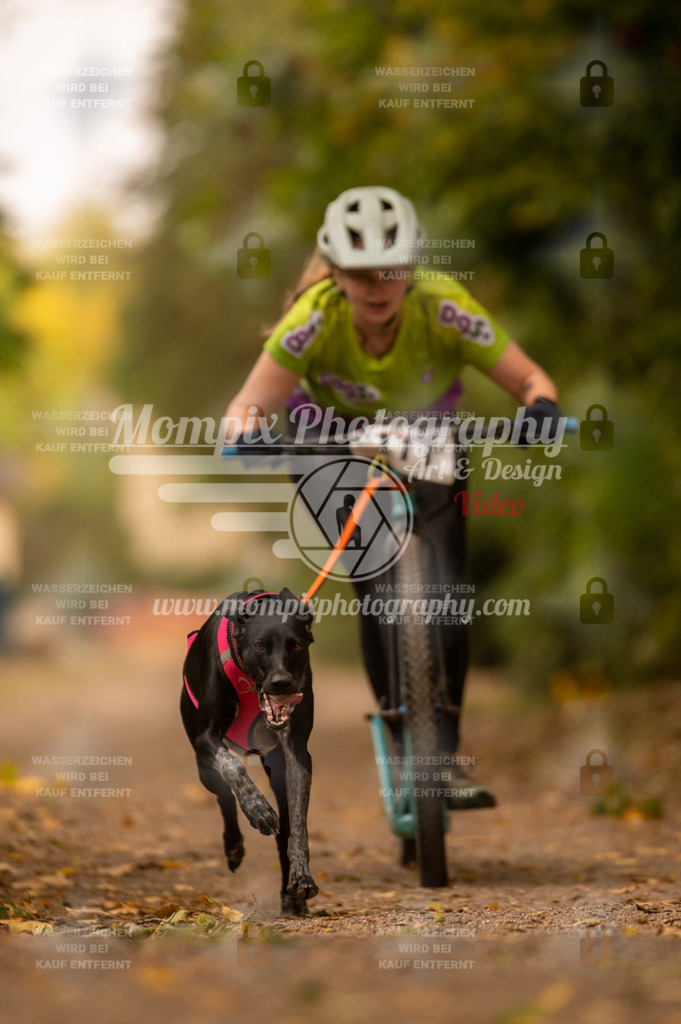 CDLBDB_14_10_2023_Samedi-175 | PayLife