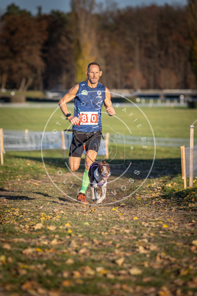 CaniXpix_DV3A4166 | Hundefotografie, Tierfotograf, Pfotenfotografie, Fotoshooting Hund, Hunde Portrait, Hundesport, Hundeportraits, Heideshooting, Hunde, Sportfotograf, Hundefotograf, Turnierhundsport, THS,  - Realisiert mit Pictrs.com