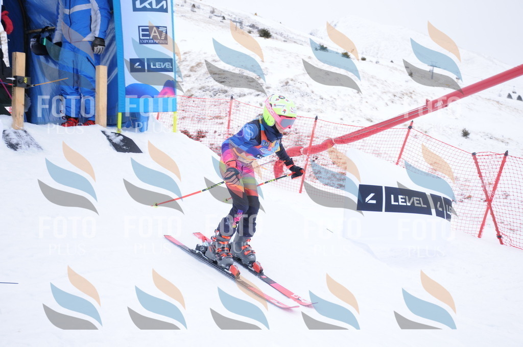 DSC_8037 | holidayphoto