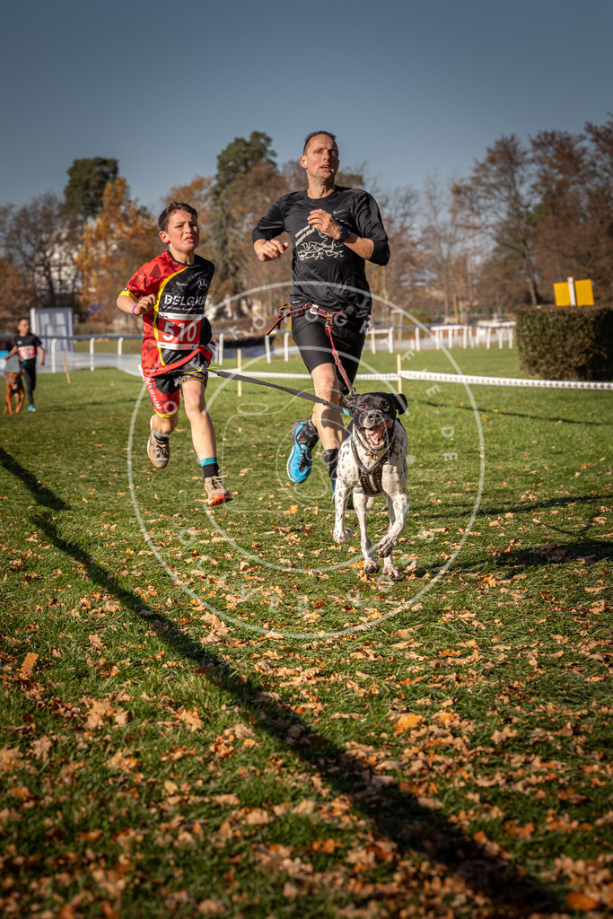 CaniXpix_0L8A6790 | Hundefotografie, Tierfotograf, Pfotenfotografie, Fotoshooting Hund, Hunde Portrait, Hundesport, Hundeportraits, Heideshooting, Hunde, Sportfotograf, Hundefotograf, Turnierhundsport, THS,  - Realisiert mit Pictrs.com