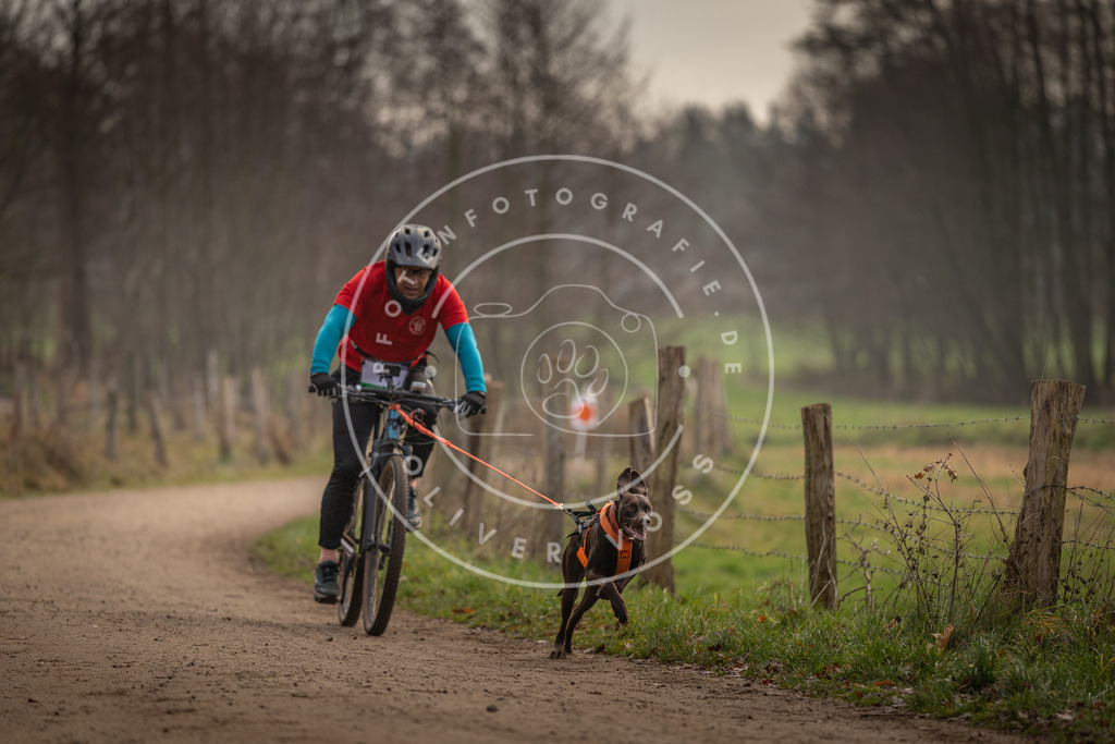 Pfotenfotografie_DV3A1868 | Hundefotografie, Tierfotograf, Pfotenfotografie, Fotoshooting Hund, Hunde Portrait, Hundesport, Hundeportraits, Heideshooting, Hunde, Sportfotograf, Hundefotograf, Turnierhundsport, THS,  - Realisiert mit Pictrs.com