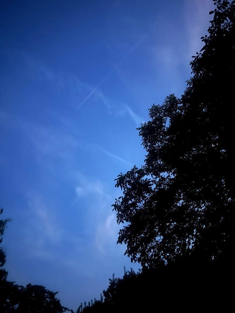 IMG_7507 | ace - Realisiert mit Pictrs.com