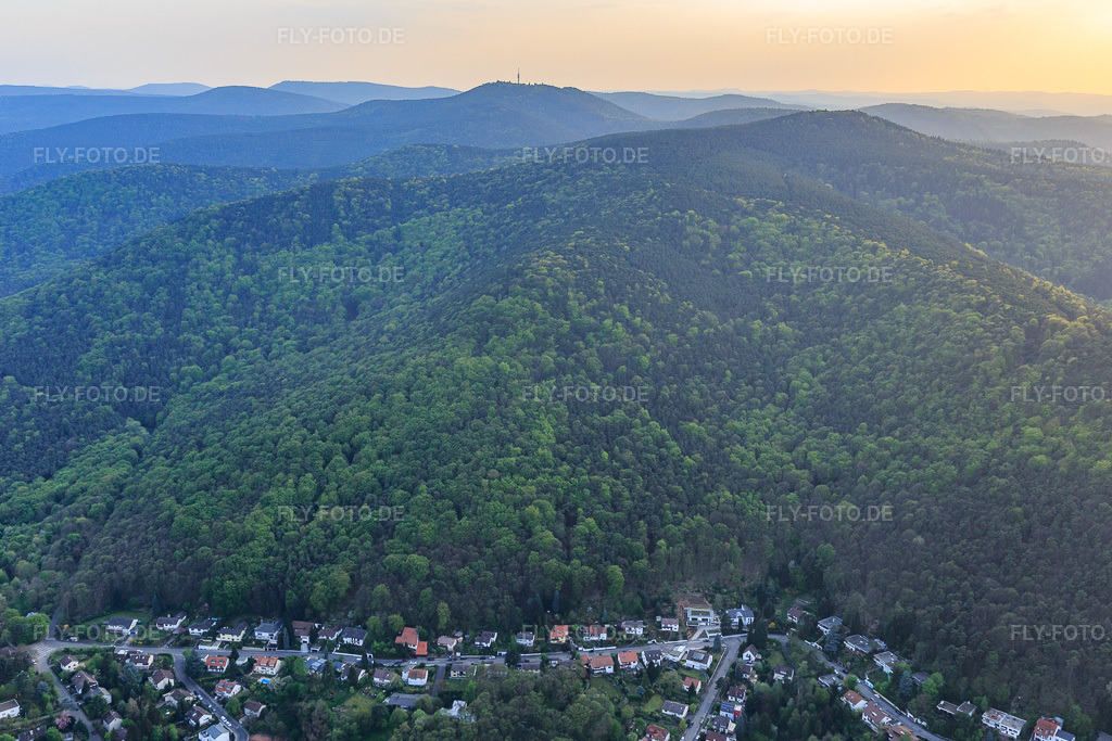 Luftbild: Nollenkopf In d. Almel im Ortsteil Hambach an der Weinstraße in Neustadt im Bundesland Rheinland-Pfalz in Deutschland. Foto: IMG_106814.jpg vom 21.04.2018 durch Werner Riehm/FLY-FOTO.de
