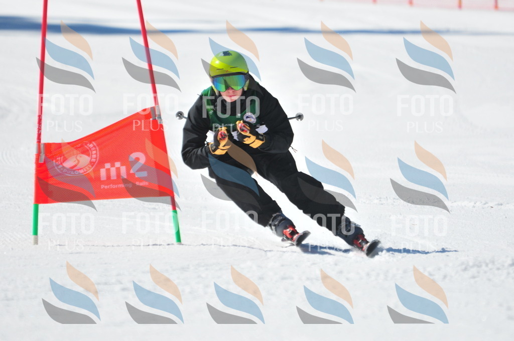 C3497 | holidayphoto