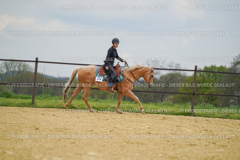 DSC07207 | Pferdegrafie