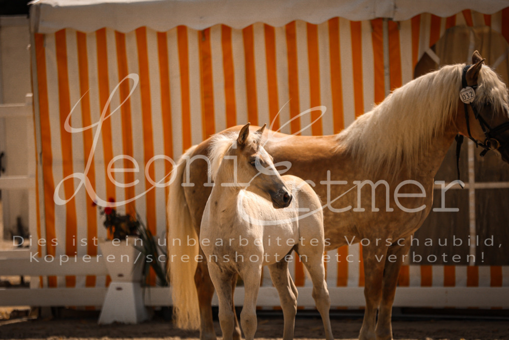 06.DoH00113 | Leoni Ertmer Photography - Realisiert mit Pictrs.com