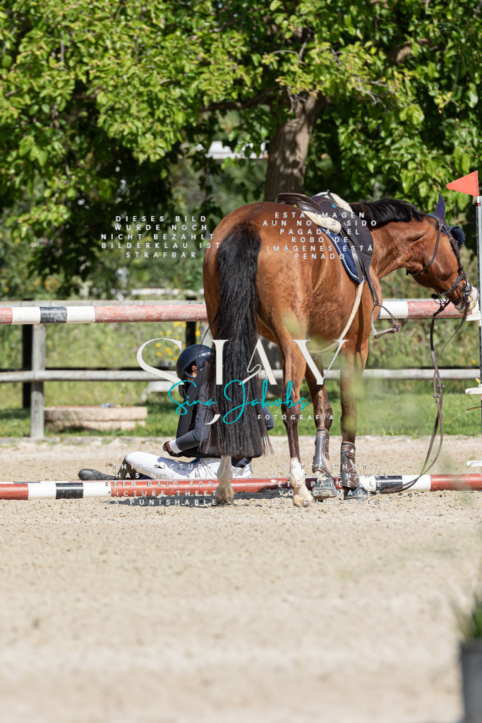 IMG_0798 | s-jay-photography - Realized with Pictrs.com