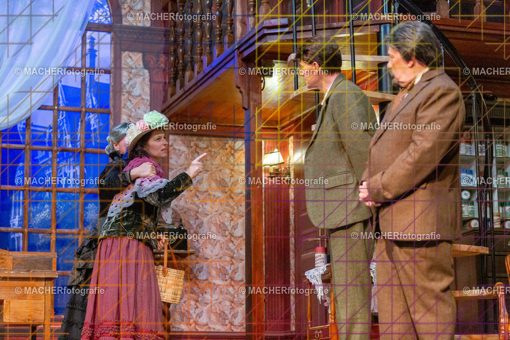 142_MFL-2025 | Portraitbilder von Regisseur; Darsteller; Techniker; Maske; Kostüme; Chor; Musiker; Bilderserie der Generalprobe und der Premierenvorstellung, Szenenbilder; Ausdrucksstudien; Bühnenüberblick; Bühnenkulissen; Pressefotos inkl. Redaktionsfoto Darstellergruppe.