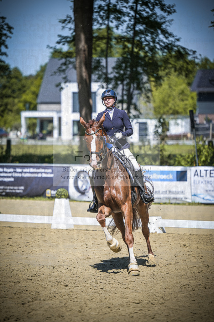 DOS_7904 | Entdecke hochwertige Reitturnierfotos von Foto Oger. Professionell, emotional und authentisch – jetzt Lieblingsmomente im Shop bestellen.Deutschlandweite Turnierfotografie. - Realisiert mit Pictrs.com