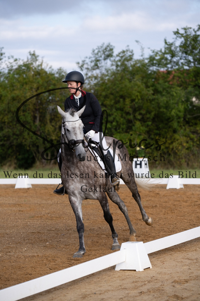 A7V03723 | Pferdefotograf