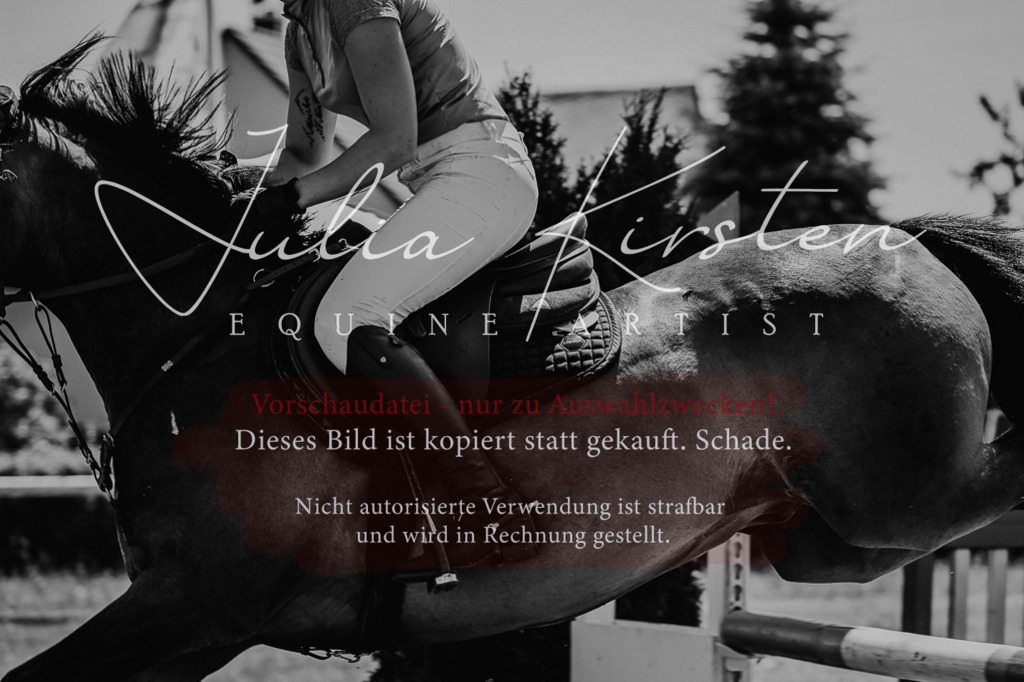 DSC_0782 | Pferde- und Turnierfotografie in Westsachsen. Pferdeportraits, Auftragszeichnungen und intuitive Kunst.