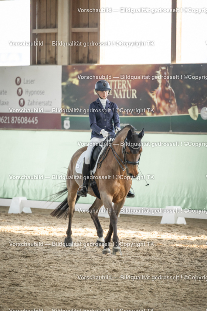 _D5A3180 | Emotionale Pferde- & People-Fotografie rund um Heidelberg, Leimen & Umgebung. Natürliche Fotos von Pferd, Mensch & Familie. Jetzt Termin sichern!