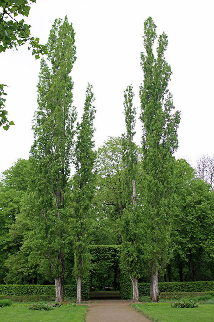 Mariannenpark - Ruheplatz | Entdecke über 20 Kategorien Leipzig-Motive: Foto-Downloads, hochwertige Poster, Leinwand- & Fine-Art-Prints. Jetzt Lieblingsfoto im Bildlexikon Leipzig Shop bestellen!