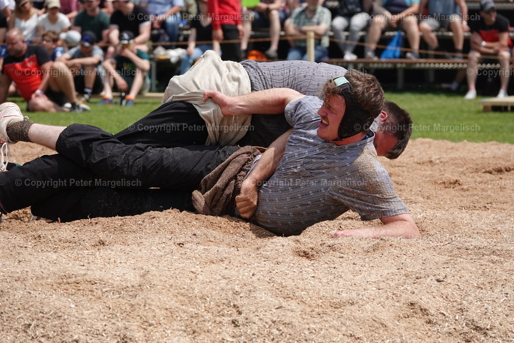 DSC04581 | Schwingen - Realisiert mit Pictrs.com