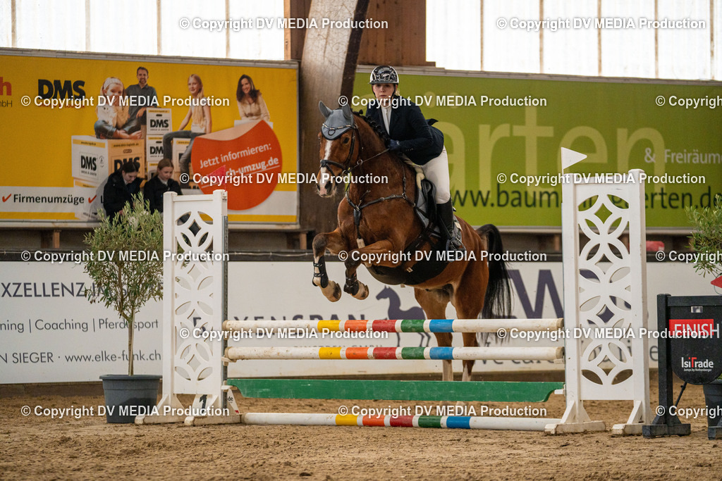 Kranichstein Tag 1-198 | dv-media-shop - Realisiert mit Pictrs.com