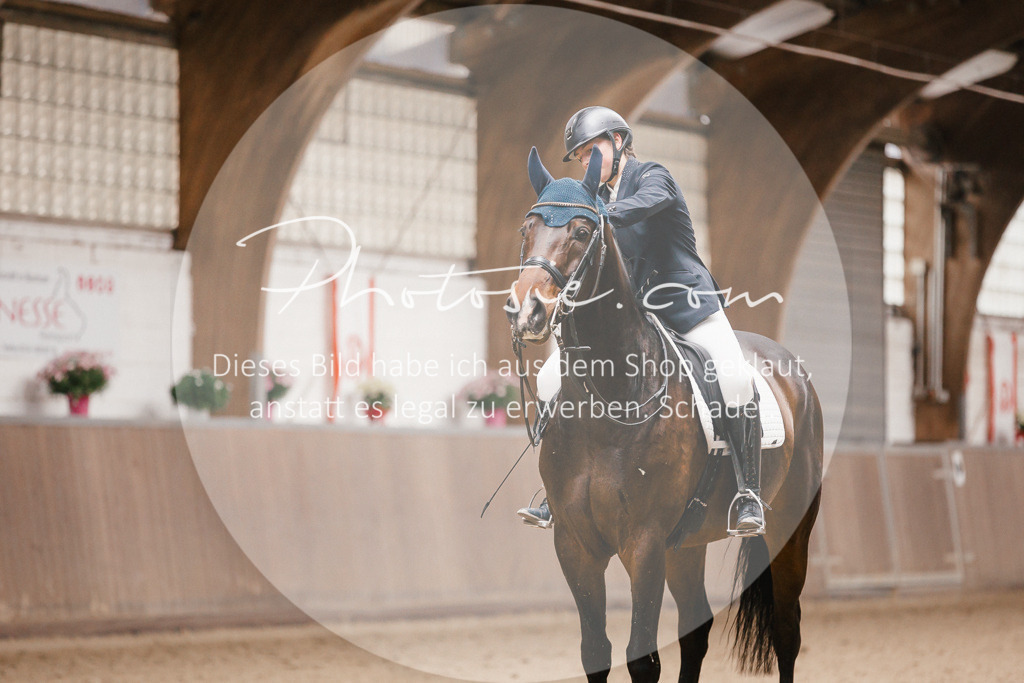 3I6A8509 | Stimmungsvolle Portraits und Reitsportfotografie im Ruhrgebiet und im Münsterland.

Pferdefotografie, Hundefotografie, Tierfotografie, Reportagen, Portraits von Tier und Mensch, Turnierfotografie in Bochum, Recklinghausen, Marl, Haltern am See, Dülmen.. - Realisiert mit Pictrs.com