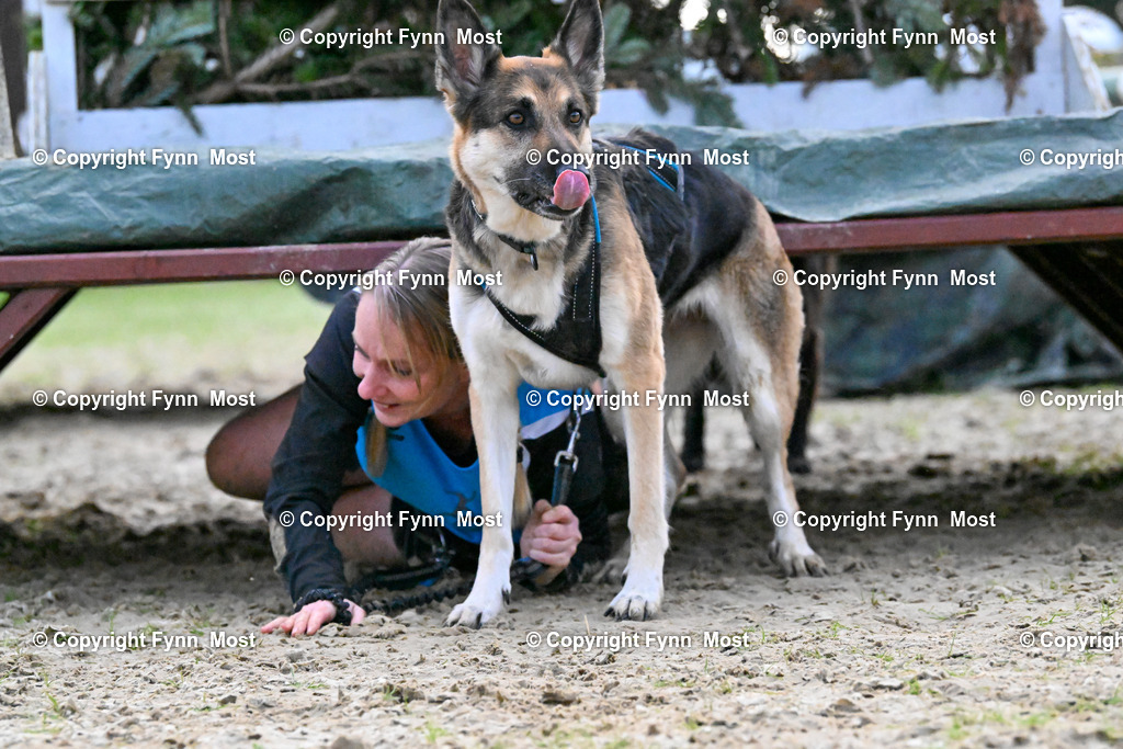 DSC_5028 | Hallo und herzlich Willkommen auf meiner Shop-Seite Fynn Most.

Ich wünsche Dir viel Spaß beim stöbern durch die Bilder, wenn Du Fragen hast oder Bilder vermisst, kannst du mir gerne eine Nachricht schreiben. - Realisiert mit Pictrs.com