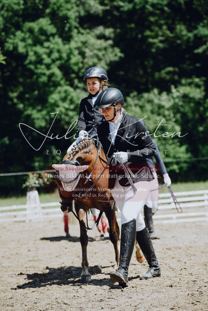 DSC_2588 | Pferde- und Turnierfotografie in Westsachsen. Pferdeportraits, Auftragszeichnungen und intuitive Kunst.