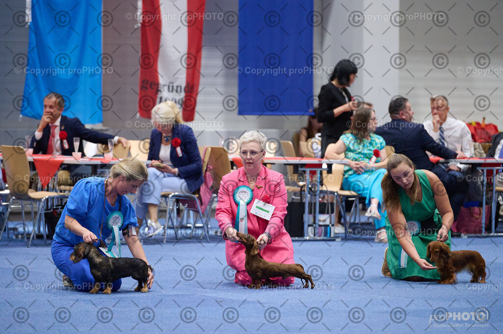 202406_ÖKV-IHA-Tulln24_DSC_3013 | proPHOTO - Realisiert mit Pictrs.com