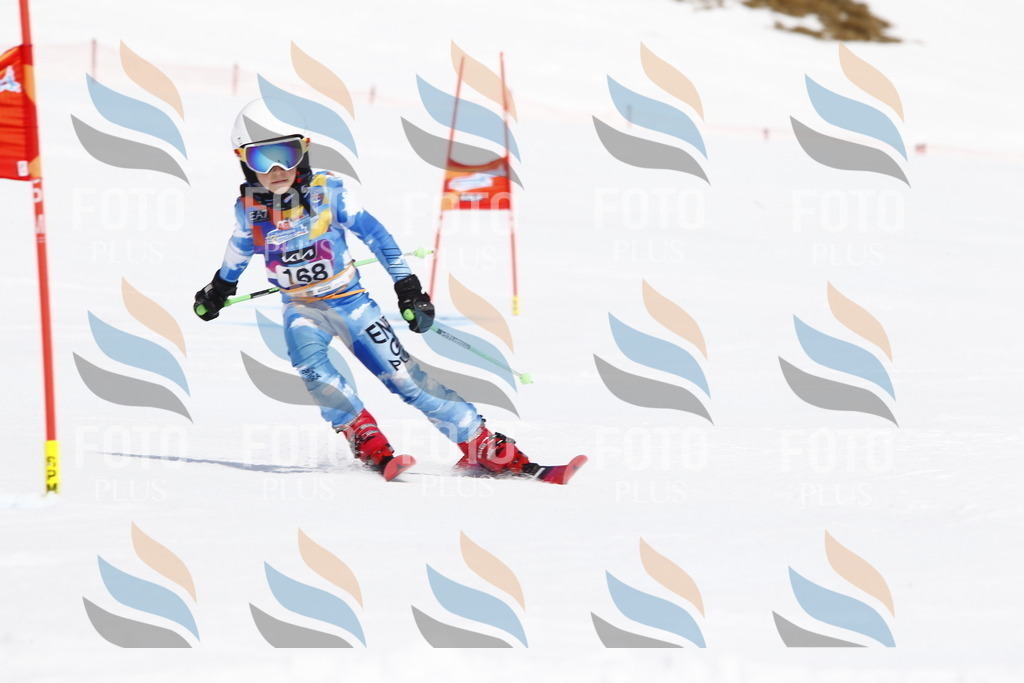 _U3G4496 | holidayphoto