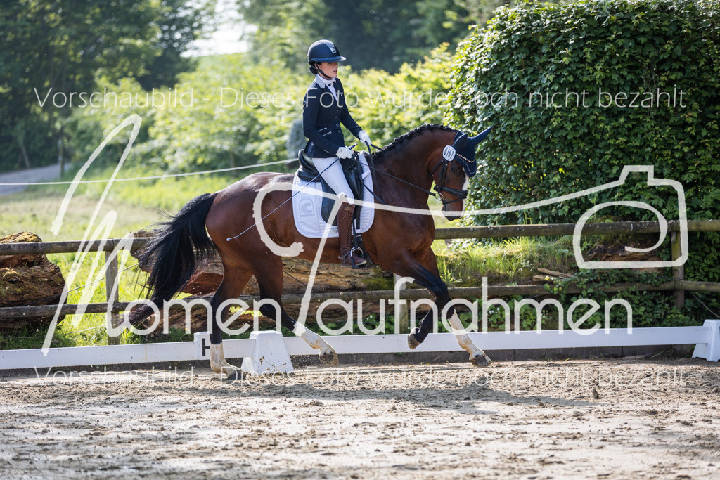 Donop24-A2-Dre-021 | MomenTaufnahmen Pferdesportfotos