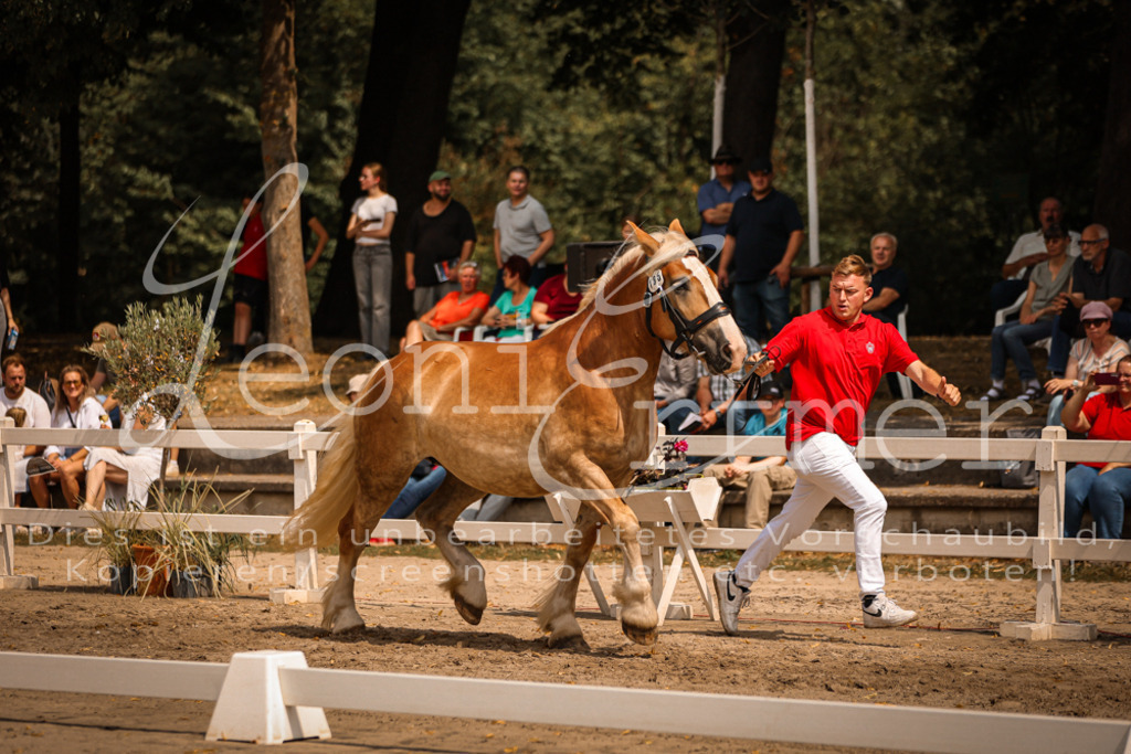 2.Sa00054 | Leoni Ertmer Photography - Realisiert mit Pictrs.com