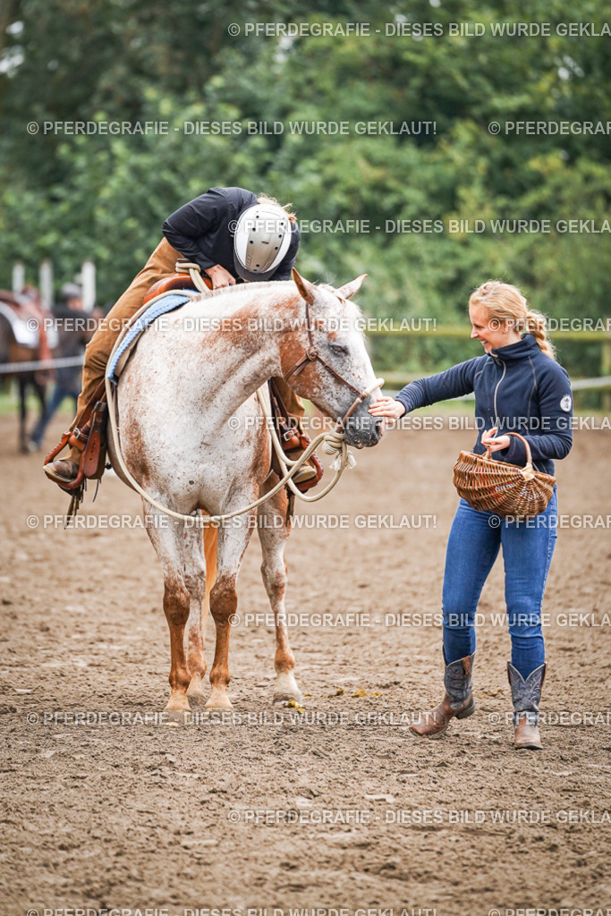 DSC02107 | Pferdegrafie