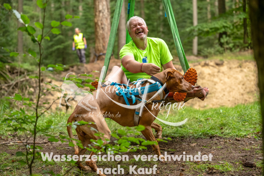 1330_ZZ93115-Bearbeitet | kk-dogfotos