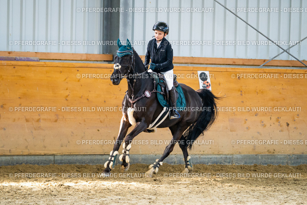 DSC01640 | Pferdegrafie