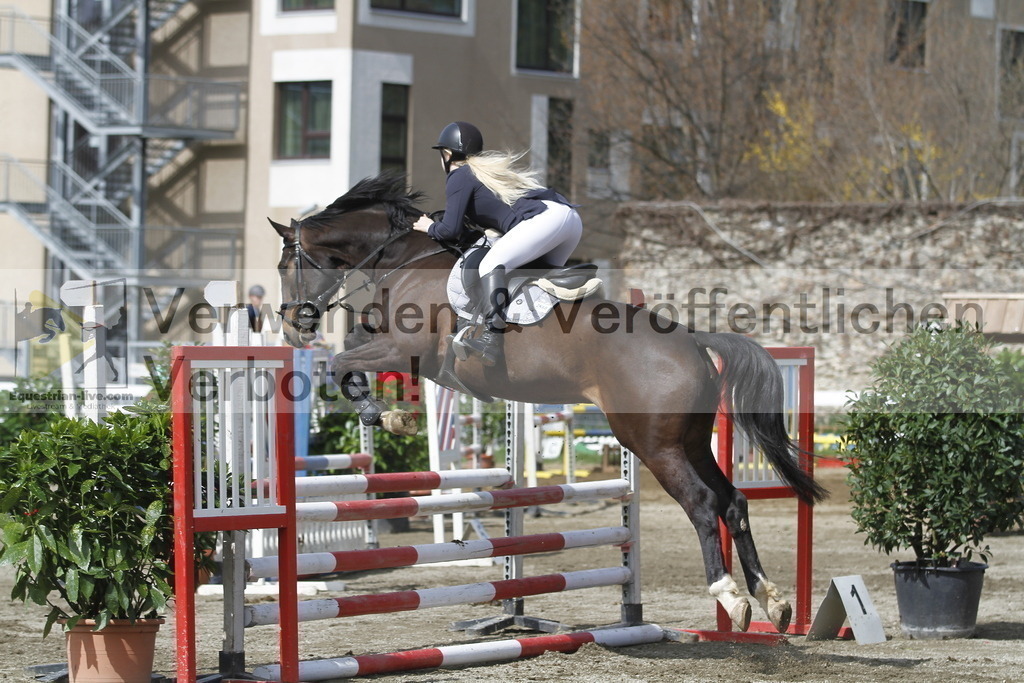 _MG_7246 | equestrian-live-com