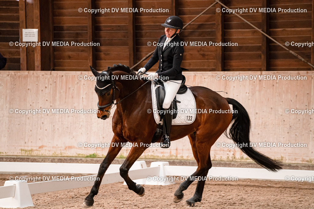 Dressur Tag 2-155 | dv-media-shop - Realisiert mit Pictrs.com