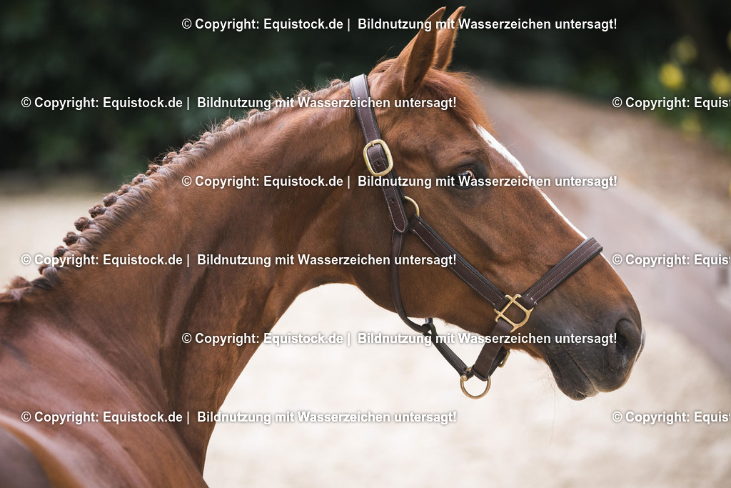 TS_20170501_Eingeflochtene_M__hne_0008 | Foto: Thomas Hartig