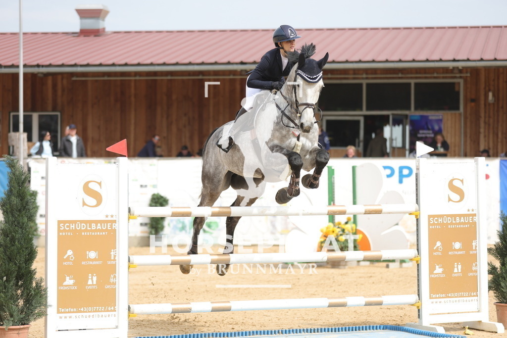 0P6A5518 | Willkommen bei Brunnmayr - Design & Fotografie – Ihrem Spezialisten für Reitturniere und Pferdeveranstaltungen in Oberösterreich, Salzburg und Bayern! Seit über 17 Jahren sind wir leidenschaftlich dabei.