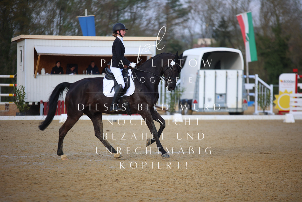 IMGT8909 | pl-fotografie