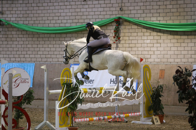 IMG_0870 | Deine Turnierfotos vom Reitturnier online kaufen: Dressur, Springen & Siegerehrung. Professionelle Pferdefotografie aus dem Rheinland – als Download & Print.Alternative: Turnierfotograf für den Pferdesport: Finde deine Fotos von Dressur- und Springturnier