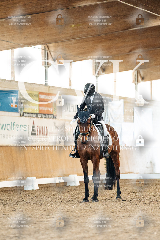 CK907700 | Turnierfotografie Pferdefotografie Trier Rheinland-Pfalz Pferdesport Reitsport Tierfotografie Sportfotografie Pferdevideo Pferdevideografie Equestrianvideography equestrianphotography  - Realisiert mit Pictrs.com