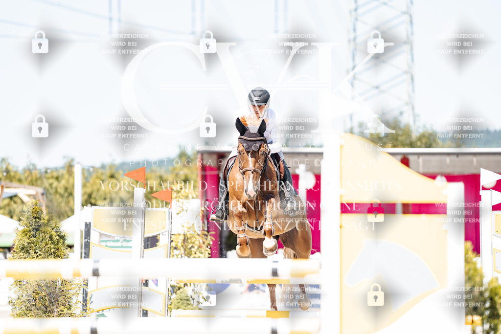 CK909518 | Turnierfotografie Pferdefotografie Trier Rheinland-Pfalz Pferdesport Reitsport Tierfotografie Sportfotografie Pferdevideo Pferdevideografie Equestrianvideography equestrianphotography  - Realisiert mit Pictrs.com
