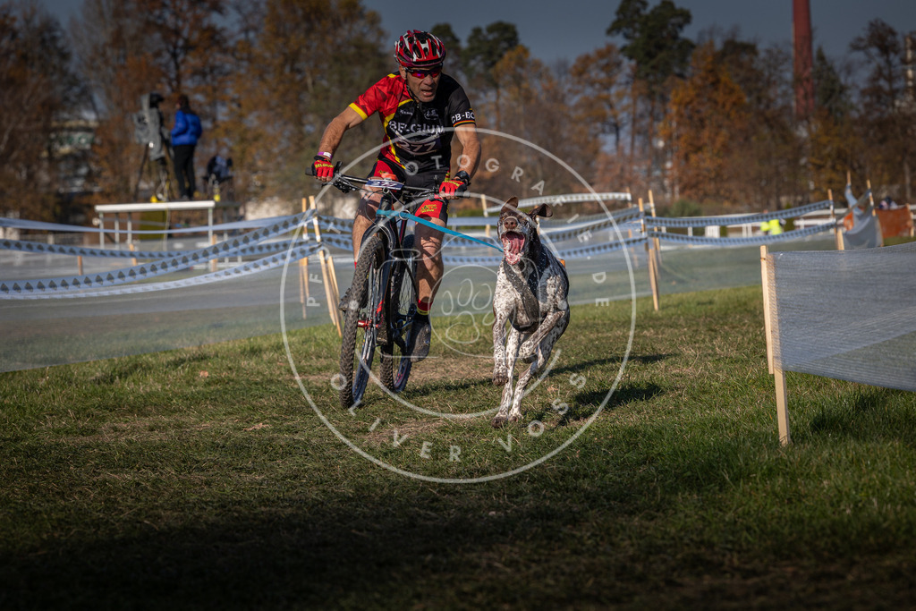 CaniXpix_0L8A6655 | Hundefotografie, Tierfotograf, Pfotenfotografie, Fotoshooting Hund, Hunde Portrait, Hundesport, Hundeportraits, Heideshooting, Hunde, Sportfotograf, Hundefotograf, Turnierhundsport, THS,  - Realisiert mit Pictrs.com