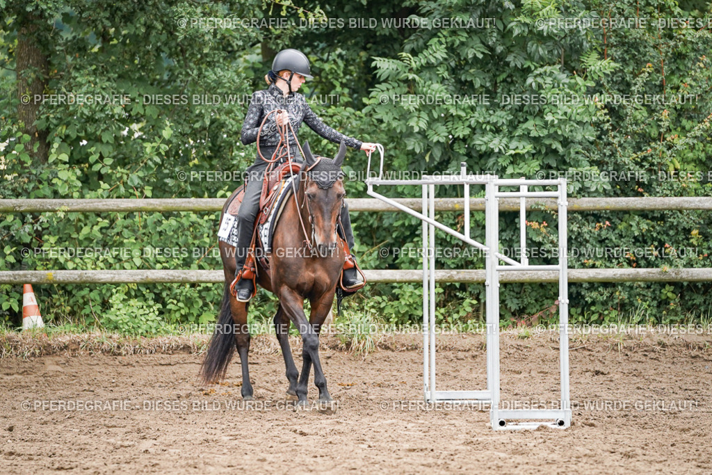 DSC03144 | Pferdegrafie