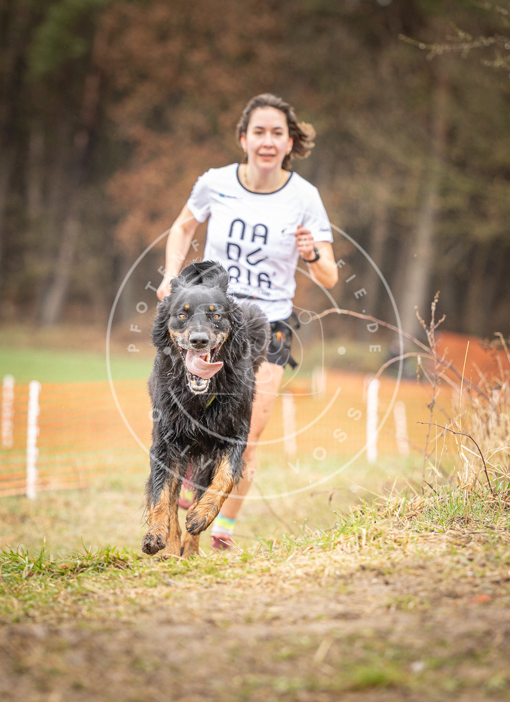 DV3A0156 | Hundefotografie, Tierfotograf, Pfotenfotografie, Fotoshooting Hund, Hunde Portrait, Hundesport, Hundeportraits, Heideshooting, Hunde, Sportfotograf, Hundefotograf, Turnierhundsport, THS,  - Realisiert mit Pictrs.com