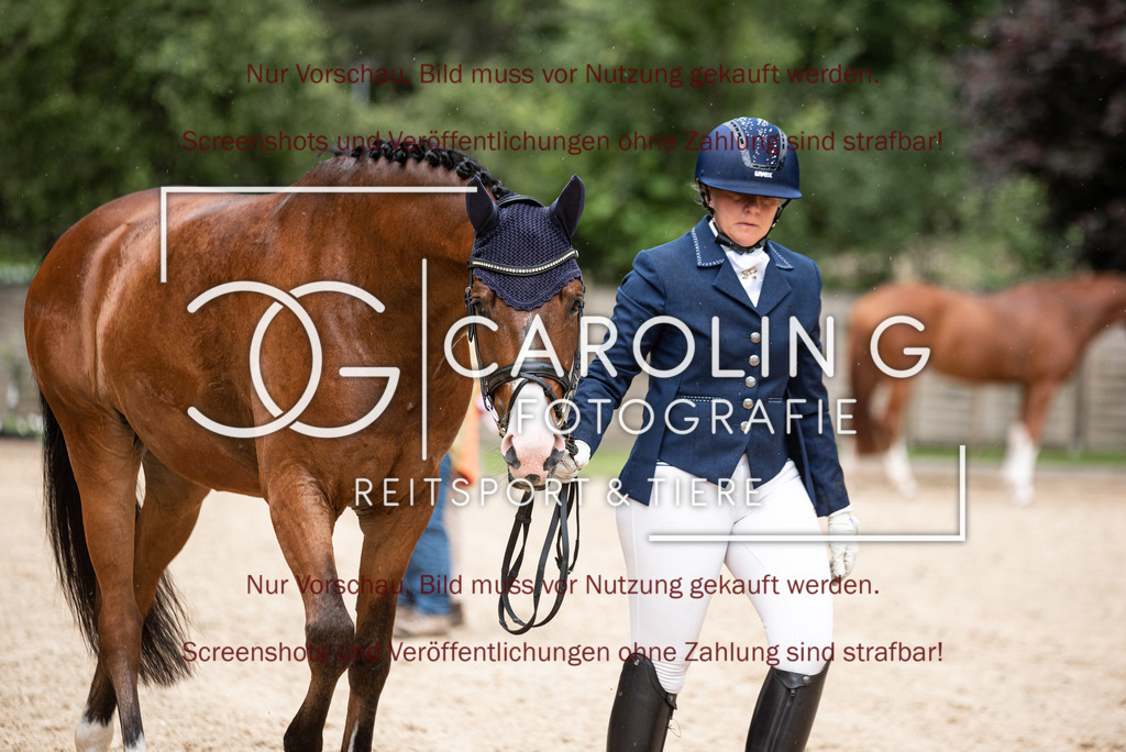 DSC_3163 | Turnierfotografin Carolin Gieschke,Reitsport Turnierfotografie Carolin G Fotografie | Turnierfotos aus Kirchheim/Teck, Esslingen, Stuttgart und dem Bodenseekreis