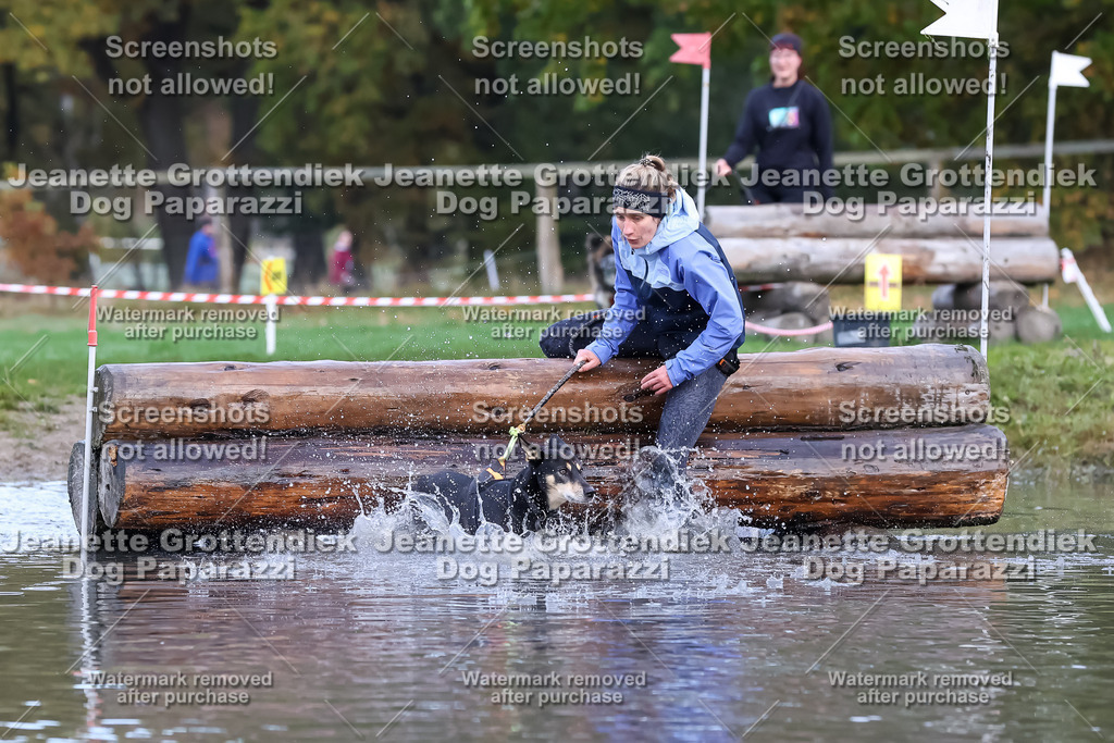 Dog Paparazzi - Strongdog 10-25-6611 | Dog Paparazzi Jeanette Grottendiek Fotografie & Videografie - Realisiert mit Pictrs.com