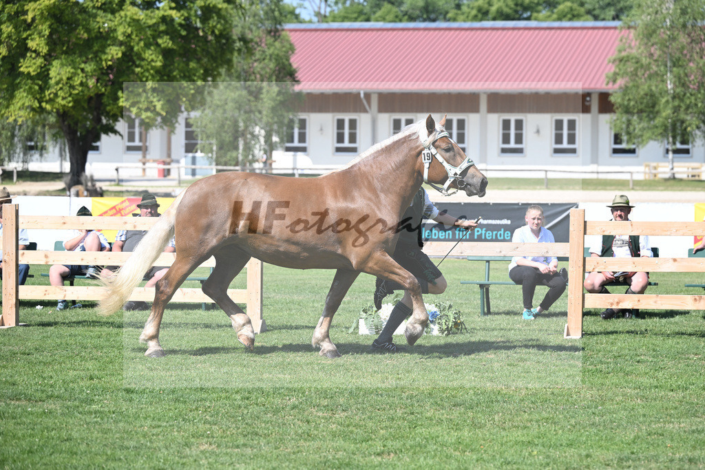 Kat-Nr. 19 Madrid_Bachmair_20230290 | hf-fotografie - Realisiert mit Pictrs.com