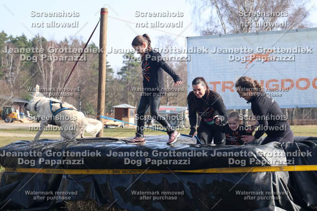 Dog Paparazzi - Strongdog North Mrz26-1423 | Dog Paparazzi Jeanette Grottendiek Fotografie & Videografie - Realisiert mit Pictrs.com