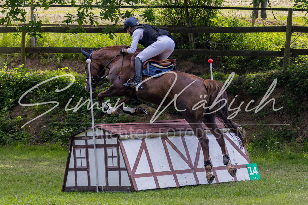 MBFotografie (101) | Tierfotografie Pferde, Hunde, Katzen, Haustiere.
Turnierfotografie Reitturniere, Reiten, Springreiten, Dressur in Hanau, dem Main-Kinzig-Kreis und dem Rhein-Main- Gebiet um Frankfurt